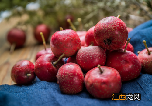 2019年种植山楂赚钱吗 2019年种植山楂赚钱吗视频