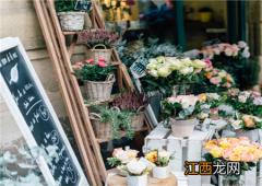 开花店需要多少钱