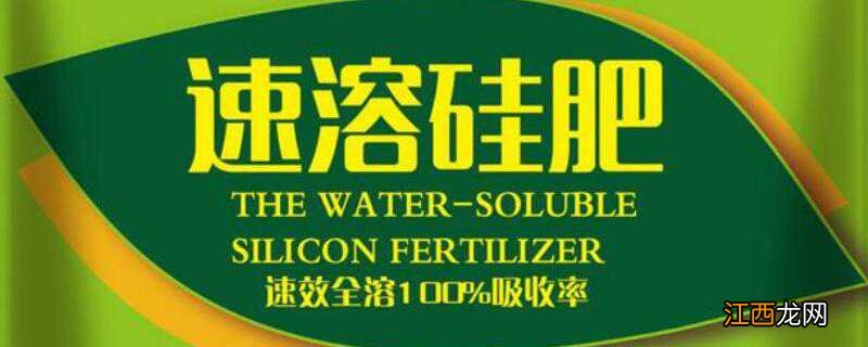 叶面肥可以跟农药一起混合喷施吗 叶面肥能和杀虫药一起喷吗