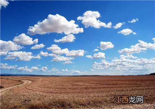 2019年藏在农村不起眼的暴利:这五个行业很有“钱”景!