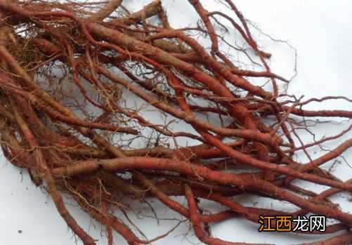 现在做什么生意赚钱投资小利润大 现在做什么赚钱