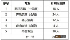 南京小红花艺术团出路 南京小红花艺术团