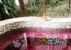 红酒泡脚的功效与作用是什么 红酒泡脚的功效与作用