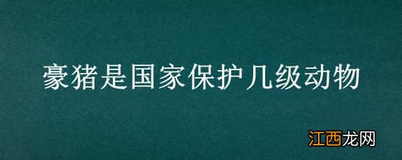 豪猪算不算保护动物 豪猪是国家保护几级动物