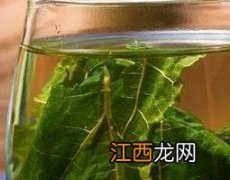 新鲜蒲公英可以直接泡水喝吗 鲜蒲公英可以泡水喝吗