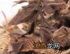 升麻的功效与作用及禁忌 升麻的功效与作用