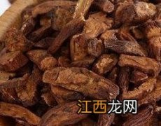 怎么发酵蒲公英 发酵的蒲公英根 功效有改变吗