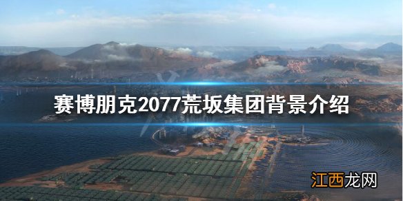 赛博朋克2077荒坂公司和军用科技 赛博朋克2077荒坂集团怎么样