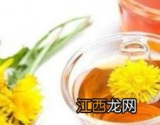 蒲公英蜂蜜茶的功效与作用 蒲公英蜂蜜茶的功效与作用及禁忌