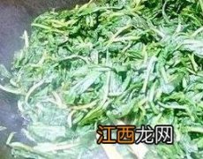 炒蒲公英茶炒糊了还能喝吗 炒蒲公英茶怎么炒