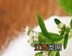 甜菊糖苷的功效与作用糖尿病人能吃吗? 甜菊糖苷的功效与作用