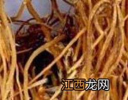 龙胆草泡水喝的正确方法 龙胆草能泡开水喝吗