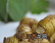 石斛对男人的功效与作用 铁皮石斛对男人的功效与作用