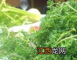 野草迷迷蒿 迷迷蒿是什么