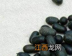 苦石莲子的功效与作用及食用方法 苦石莲子的功效与作用