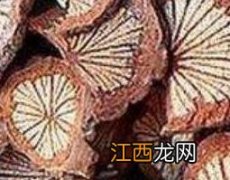 红藤的功效与作用及禁忌 红藤的功效与作用及禁忌症的功效与作用