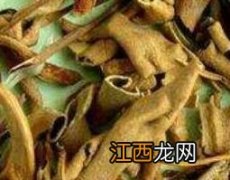 石韦的功效与作用的功能与主治 石苇的功效与作用