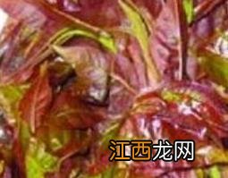 细叶水团花的功效与作用 水团花的功效与作用