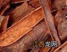 桂皮的功效与作用吃法 桂皮的功效与作用