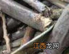 软筋藤的功效与作用 软筋藤的功效与作用及用法视频