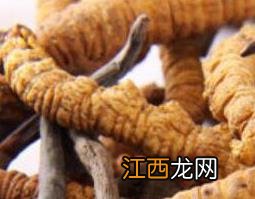 藏鞭草的功效与作用是什么 藏鞭草的功效与作用