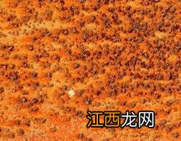 铁锈的功效和作用 铁锈的药用功效是什么