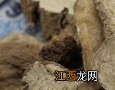 山乌龟的功效与作用及禁忌症 山乌龟的功效与作用