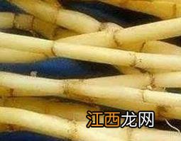 茅根草怎么煮水喝 茅草根煮水喝什么作用