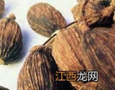 草果和草果仁一样吗功效一样吗 草果和草果仁的区别