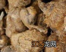 桑泡水喝有什么功效和作用 桑螵蛸泡水喝的功效与作用