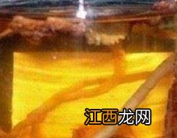 何首乌怎样泡酒 何首乌怎样泡酒治黑发