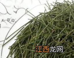 高山松针的功效与作用 松针药用功效与价值