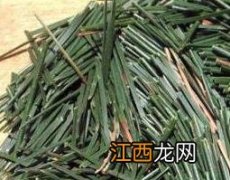 马尾松针的功效与作用及药用价值 马尾松针的功效与作用及药用价值图片