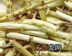 芦根的功效与作用 芦根的功效与作用的功能与主治