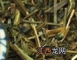 半枝莲膏的功效与作用 半枝莲膏的功效与作用