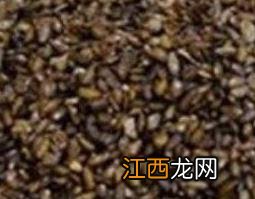 车前子的功效与作用及禁忌 车前子的功效与作用