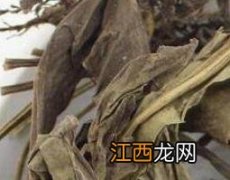 独行千里的功效与图片 独行千里的功效与作用及药用价值