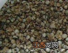 青礞石的功效与作用及药用价值 青礞石的作用和功效与作用