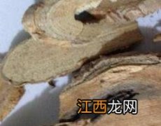 猫人参的功效与作用及药用价值及禁忌 猫人参的功效与作用及药用价值