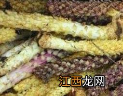 不老草的功效与作用 琅琊不老草的功效与作用