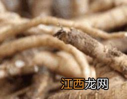 南沙参的功效与作用与主治 南沙参的功效与作用