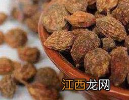 益智仁的功效与作用及药用价值是什么 益智仁的功效与作用及药用价值