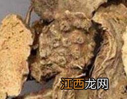 山豆根的副作用 山豆根的副作用会持续多久