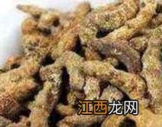 炒僵蚕的功效与作用及常见用法 炒僵蚕的功效与作用及常见用法图片