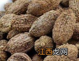 春砂仁怎么吃? 春砂仁怎么吃