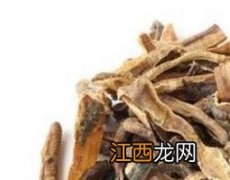 地龙的功效与作用及药用价值 地龙的功效与作用及药用价值图片