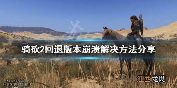 骑马与砍杀2更新完闪退 骑马与砍杀2回退版本崩溃怎么办