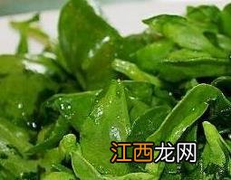 穿心莲的功效与作用点用 穿心莲的功效与作用及食用方法