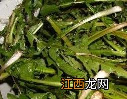 蛇床子蒲公英的功效与作用 草药蛇床子的功效与作用