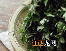 艾草水汗蒸的功效与作用 艾草水汗蒸的功效与作用禁忌